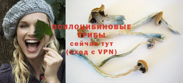гашик Покров